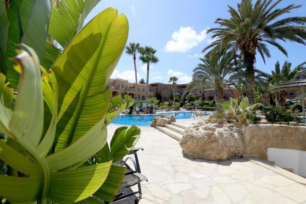 Limnaria Gardens B Daire Pafos Dış mekan fotoğraf